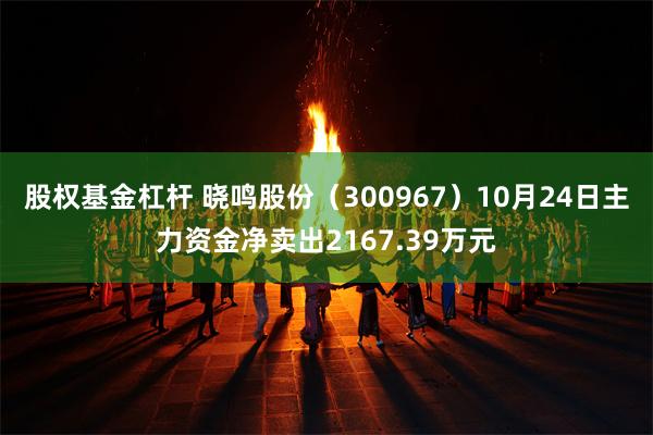 股权基金杠杆 晓鸣股份（300967）10月24日主力资金净卖出2167.39万元
