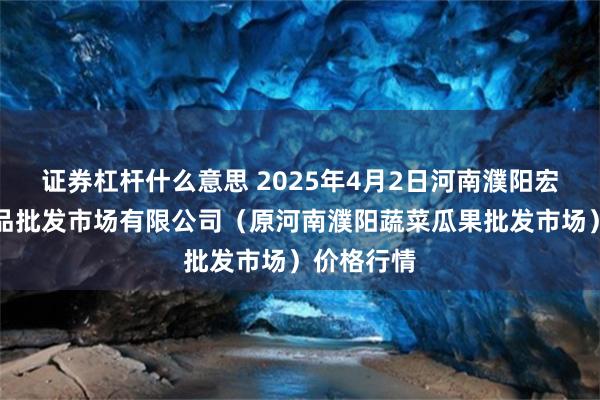 证券杠杆什么意思 2025年4月2日河南濮阳宏进农副产品批发市场有限公司(原河南濮阳蔬菜瓜果批发市场)价格行情