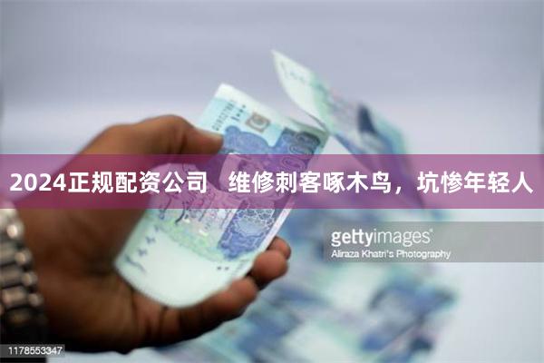 2024正规配资公司   维修刺客啄木鸟，坑惨年轻人