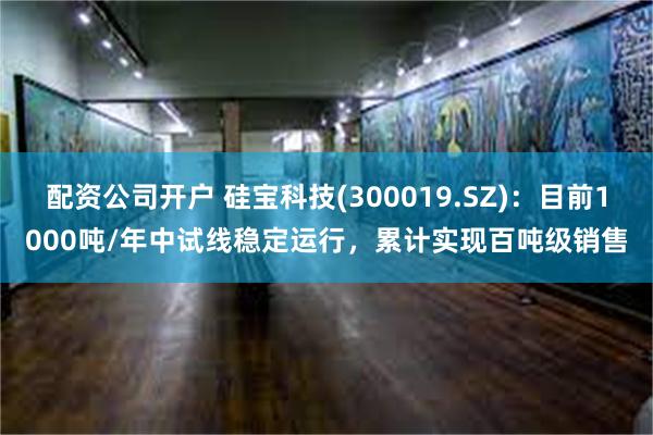 配资公司开户 硅宝科技(300019.SZ)：目前1000吨/年中试线稳定运行，累计实现百吨级销售