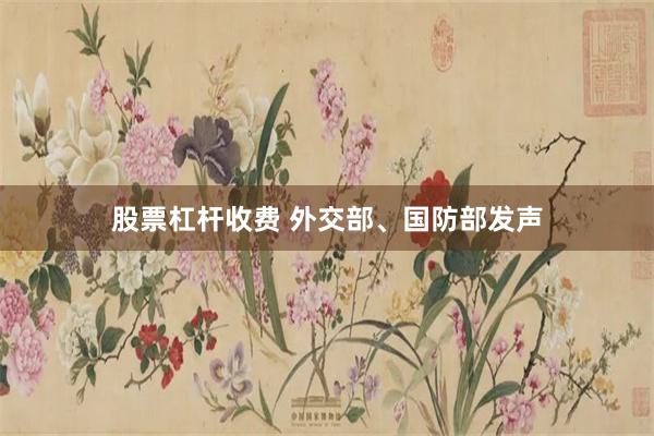 股票杠杆收费 外交部、国防部发声