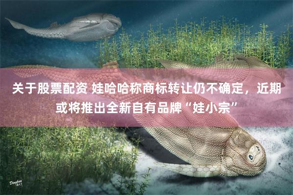 关于股票配资 娃哈哈称商标转让仍不确定，近期或将推出全新自有品牌“娃小宗”