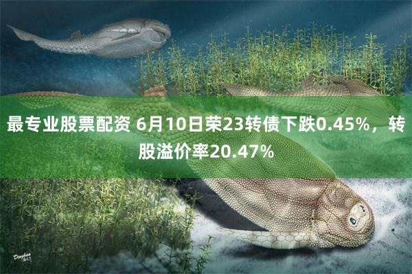 最专业股票配资 6月10日荣23转债下跌0.45%，转股溢价率20.47%