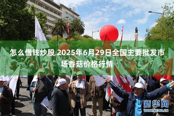 怎么借钱炒股 2025年6月29日全国主要批发市场香菇价格行情