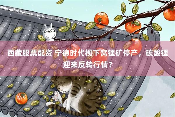 西藏股票配资 宁德时代枧下窝锂矿停产，碳酸锂迎来反转行情？
