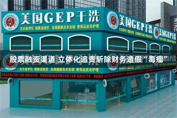 股票融资渠道 立体化追责斩除财务造假“毒瘤”