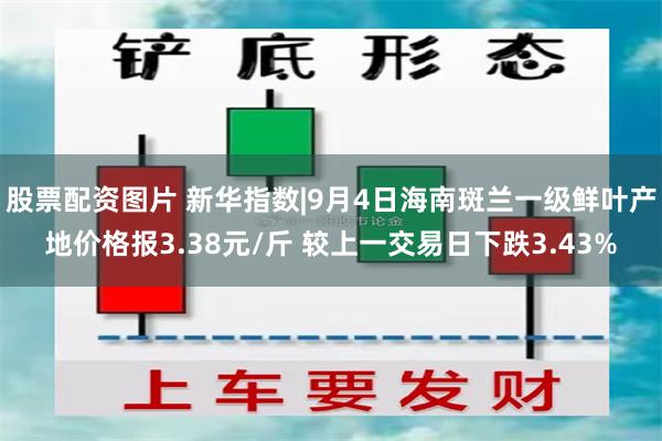 股票配资图片 新华指数|9月4日海南斑兰一级鲜叶产地价格报3.38元/斤 较上一交易日下跌3.43%