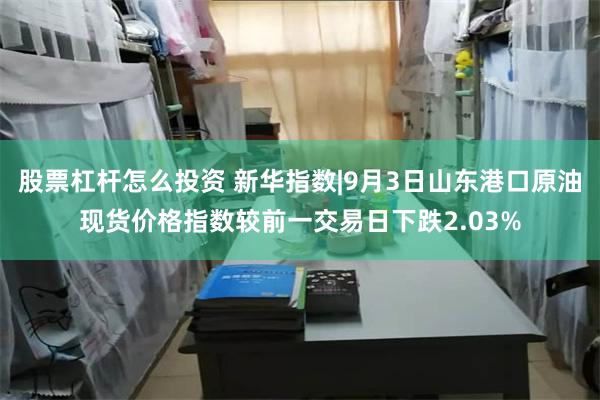股票杠杆怎么投资 新华指数|9月3日山东港口原油现货价格指数较前一交易日下跌2.03%