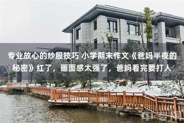 专业放心的炒股技巧 小学期末作文《爸妈半夜的秘密》红了，画面感太强了，爸妈看完要打人